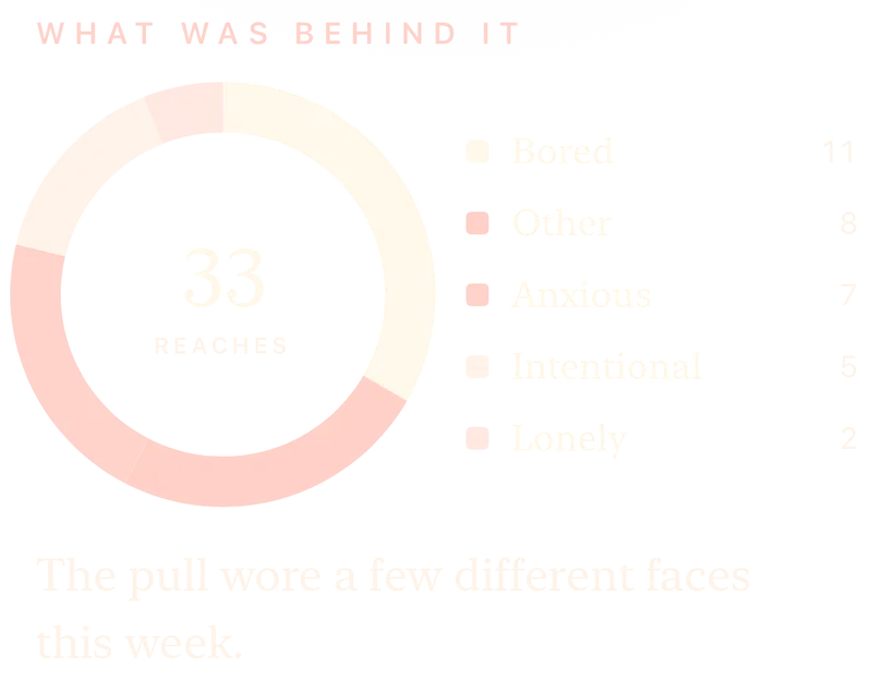 What was behind each reach